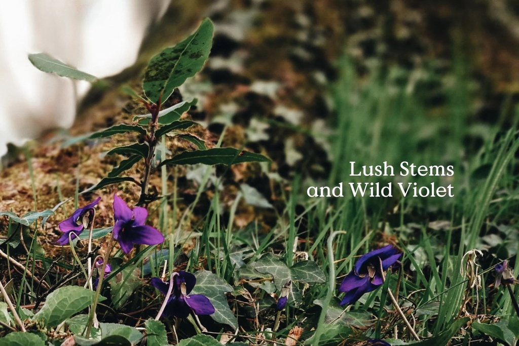 Folk kerti 40 klst - Kin